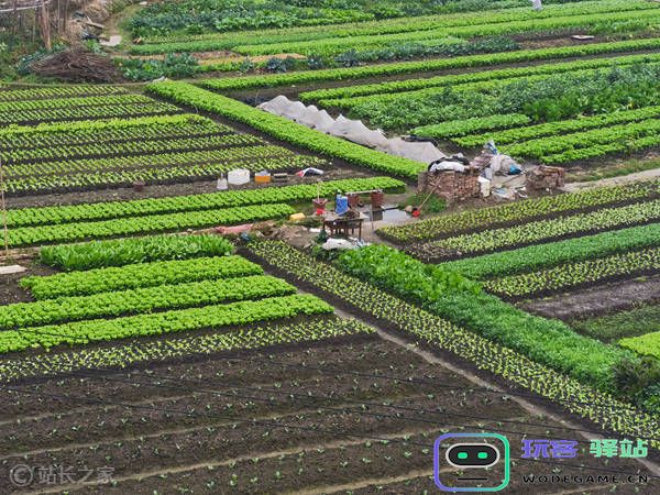 中国农业大学发布神农大模型3.0，农业智能化迎来全新突破发展机遇！