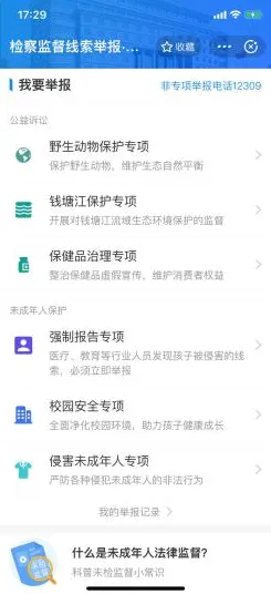 《动物森友会》举报机制-端午特别篇-跨平台联机体验-轻松放置挂机