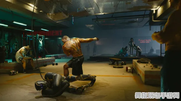 《赛博朋克2077》客服意见汇总-即时更新-每日修复-鸿蒙系统支持-跨平台联机体验