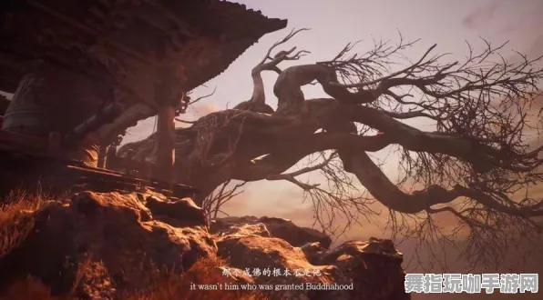 《黑神话：悟空》最新建设蓝图-今日热修更新V1.2-适配Xbox Series X-音符节奏游戏