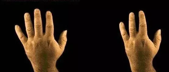 《文明6》跨平台云存档-本周技术动态-Vision Pro兼容性更新-动作探险游戏-副本快速通关攻略技巧