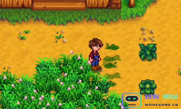 星露谷物语入门玩家养殖动物的技巧与注意事项