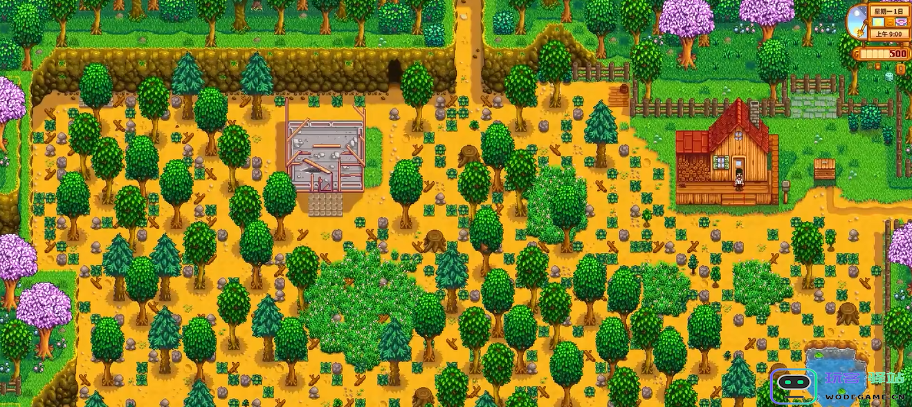 在星露谷物语的开局阶段，玩家需要明确哪些重要的目标和方向