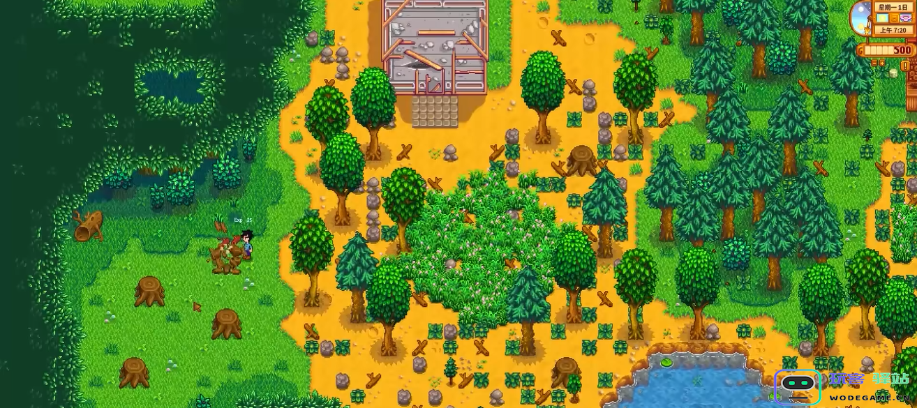 星露谷物语开局要明确什么