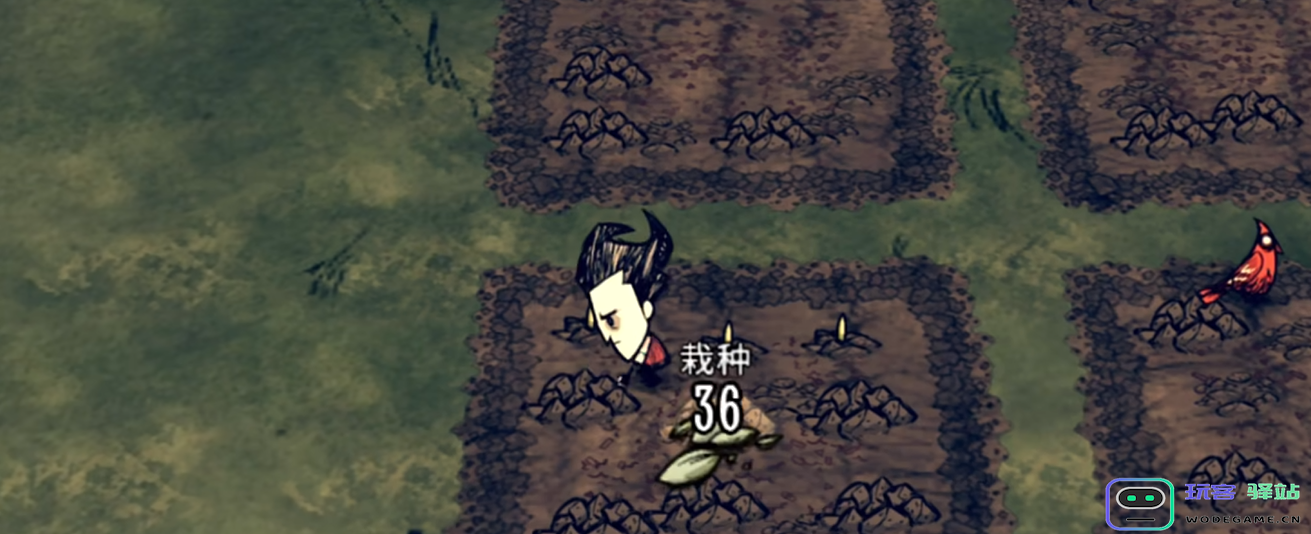 如何在饥荒的挑战中有效地进行农业种植以确保资源的持续供给