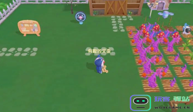 摩尔庄园樱花树种子获取方法和途径详解，让你轻松种植樱花树