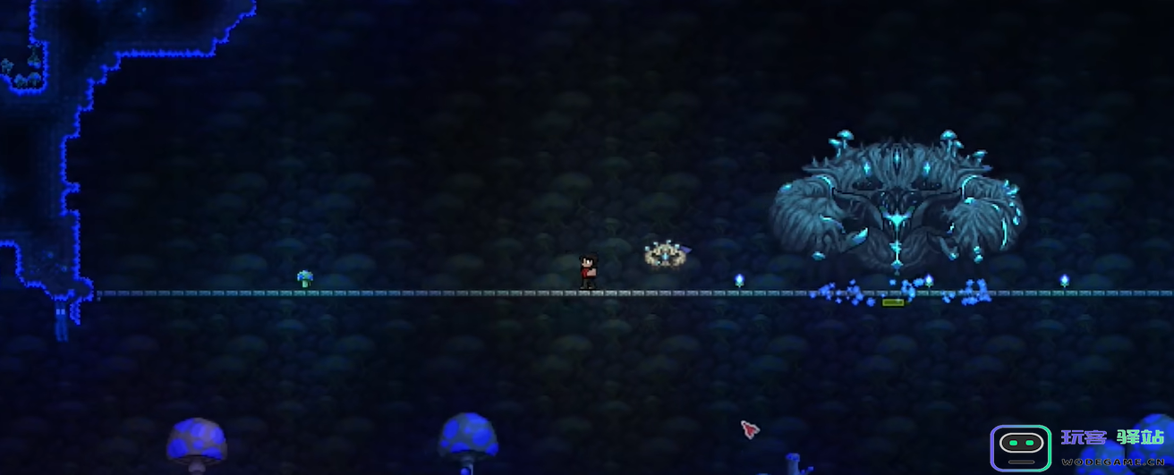 泰拉瑞亚菌生蟹在哪