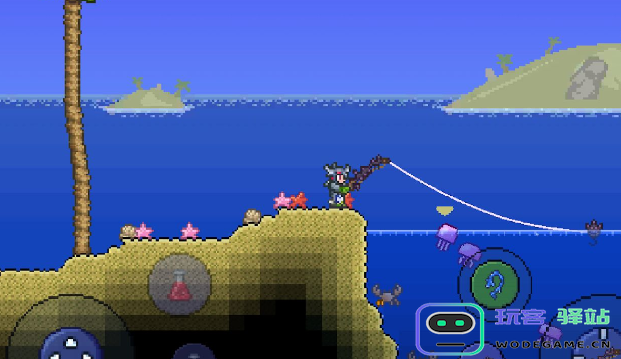 在泰拉瑞亚中有哪些饰品可以赋予玩家免疫效果？