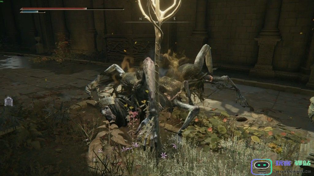 如何击败艾尔登法环中的王室幽魂？全攻略与技巧详解