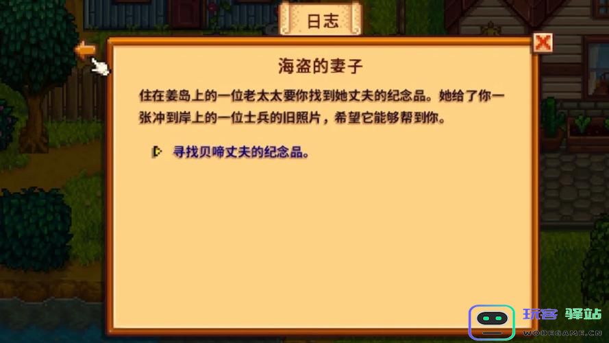如何完成《星露谷物语》中海盗的妻子任务的详细步骤和攻略