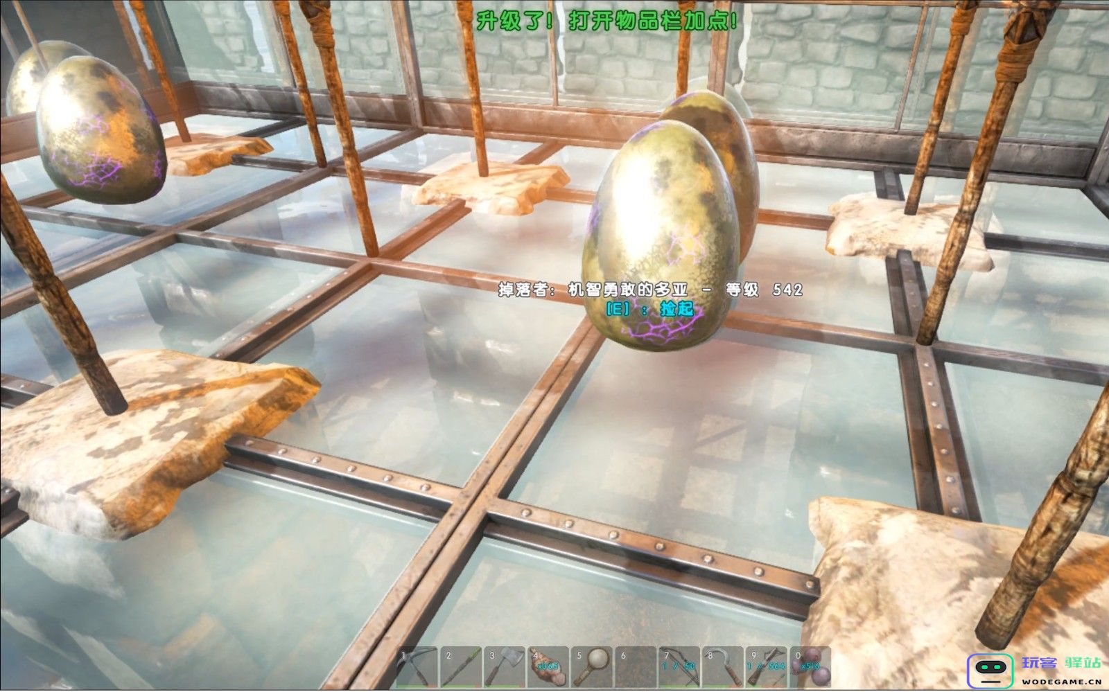 方舟生存进化雷龙蛋怎么孵化