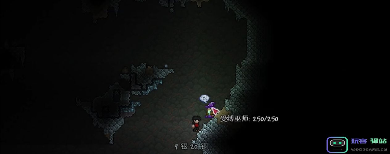 泰拉瑞亚中的巫师角色能够出售哪些特殊的道具与物品