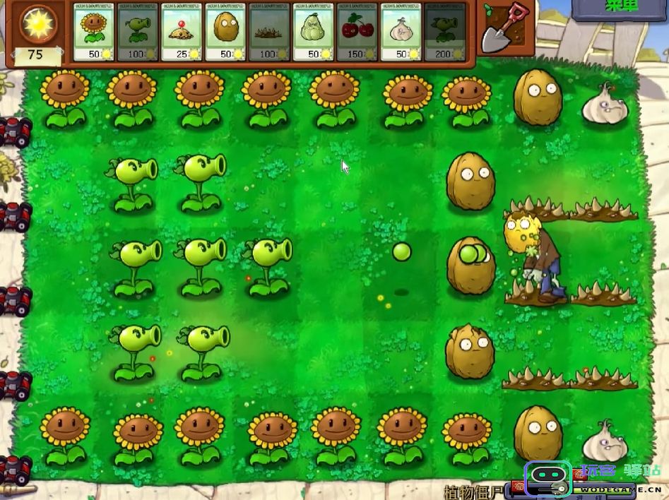 植物大战僵尸怎么玩植物僵尸模式