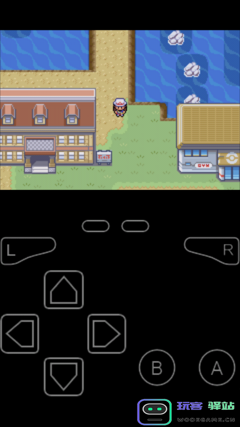 口袋妖怪火红小偷能偷什么