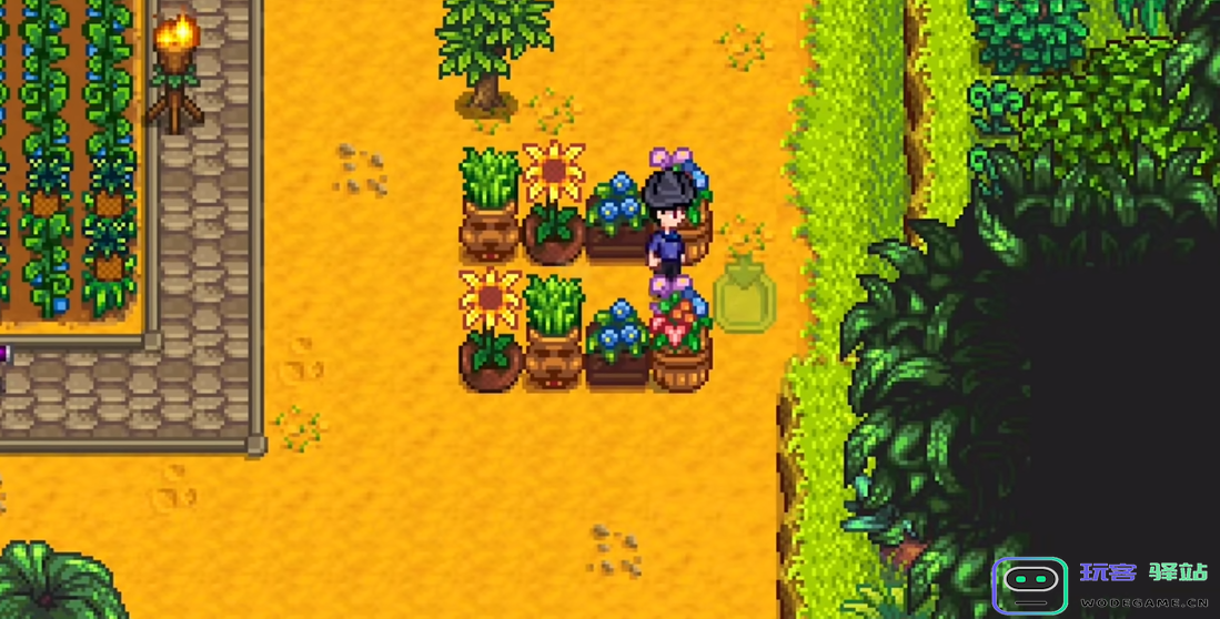 星露谷物语妻子怎么打理农场